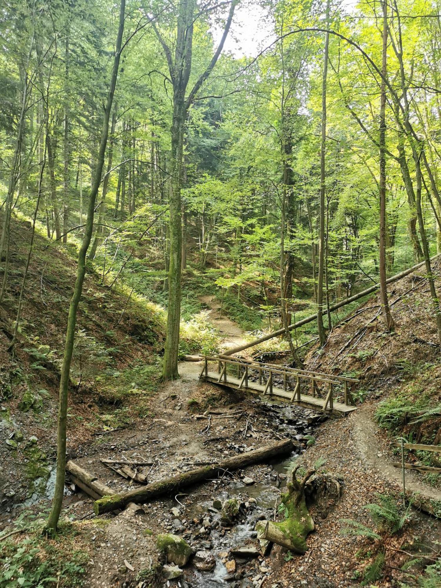 Traumhaftes Ferienhaus Am Lateinberg - 8455 Eibiswald Suedsteiermark 외부 사진