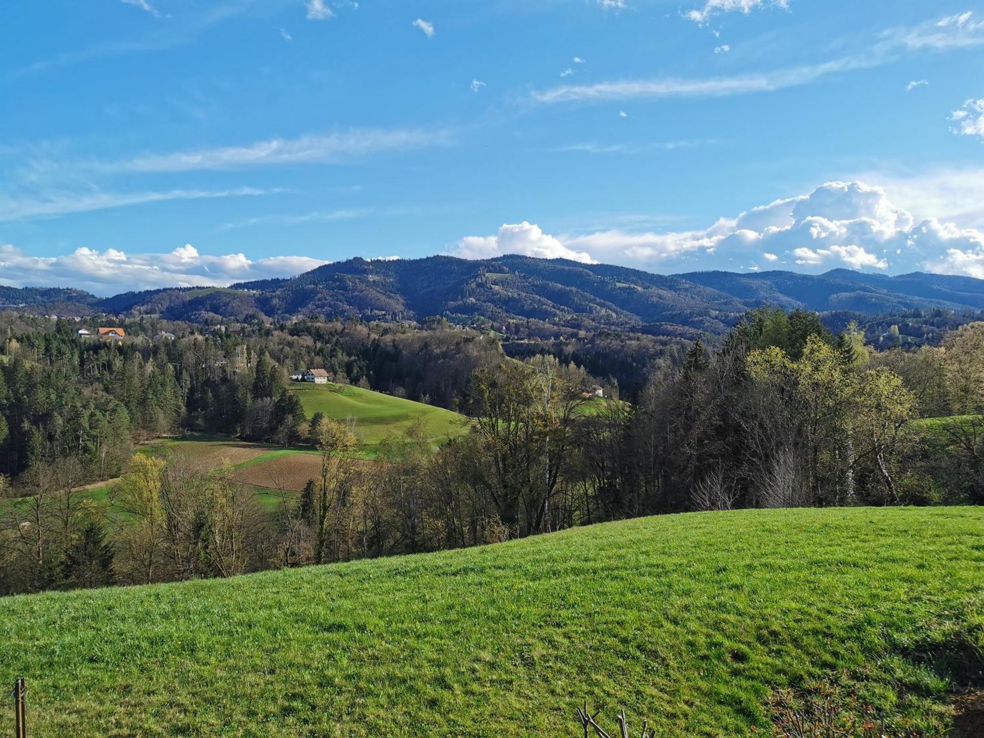 Traumhaftes Ferienhaus Am Lateinberg - 8455 Eibiswald Suedsteiermark 외부 사진